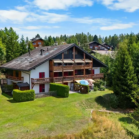 דירה Rochemont B26 By Interhome